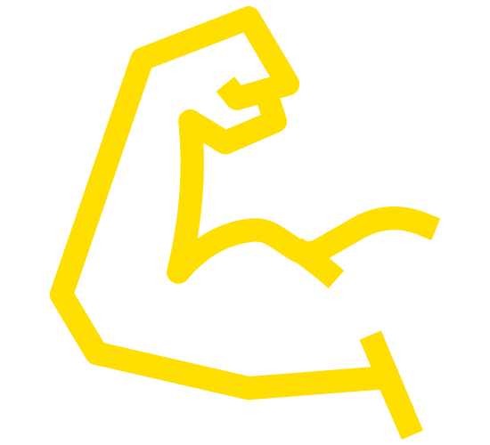 Muscle Building